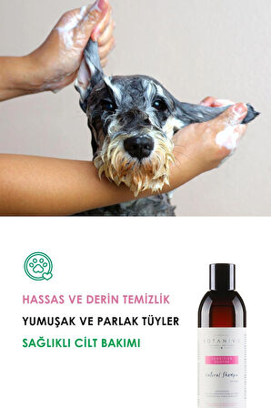 Köpekler Için Hassas Şampuan 2’li Set | Yumuşak & Parlak Tüyler | Organik Içerikli | 2x250 ml
