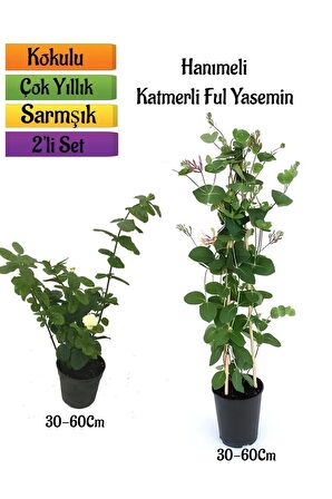 Katmerli Ful Yasemin+ Yoğun Kokulu Hanımeli Çiçeği Fidanı 2'li Bahçe Peyzaj Seti