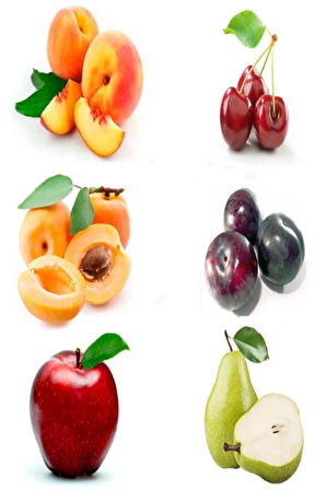 Videolu 6'lı Karışık Aşılı Meyve Fidanı Paketi (KİRAZ/ŞEFTALİ/MÜRDÜM ERİĞİ/ELMA/ARMUT/KAYISI)