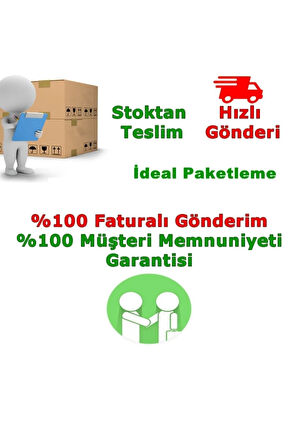 Kalanşo Çiçeği Kalanchoe Çiçeği Bitki Ev Ofis Bitkisi Kırmızı 20-25 Cm