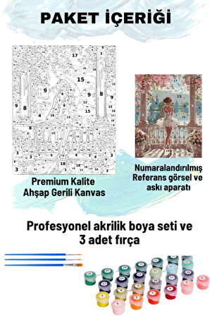 Sayılarla Boyama Seti Numaralı Tuval Fırça Boya Dahil Kasnaklı Set 50x70 Cm - BALERİN KIZ