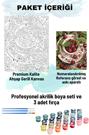 Sayılarla Boyama Seti Numaralı Tuval Fırça Boya Dahil Kasnaklı Set 50x70 Cm - KİRAZ TABAĞI
