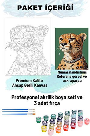 Sayılarla Boyama Seti Numaralı Tuval Fırça Boya Dahil Kasnaklı Set 50x70 Cm - KOLYE LEOPAR