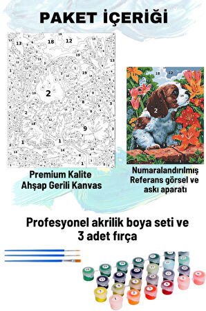 Sayılarla Boyama Seti Numaralı Tuval Fırça Boya Dahil Kasnaklı Set 50x70 Cm - KÖPEK VE ÇİÇEK