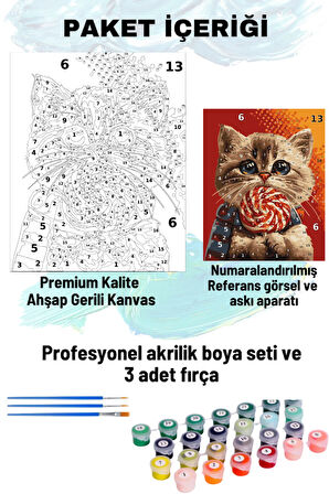 Sayılarla Boyama Seti Numaralı Tuval Fırça Boya Dahil Kasnaklı Set 50x70 Cm - ŞEKERCİ KEDİ