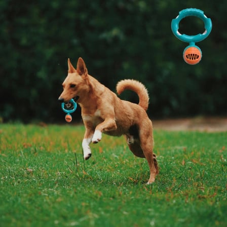 Halatlı Disk Köpek Isırma Oyuncağı - Mama Ödüllü Mekanizma