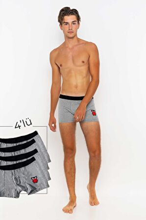 Erkek 4'lü Boxer Avantajlı Paket-Gri-XL