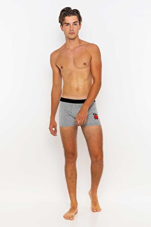 Erkek 6'lı Boxer Avantajlı Paket-Gri-XXL