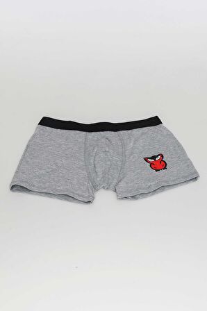 Erkek 6'lı Boxer Avantajlı Paket-Gri-XXL