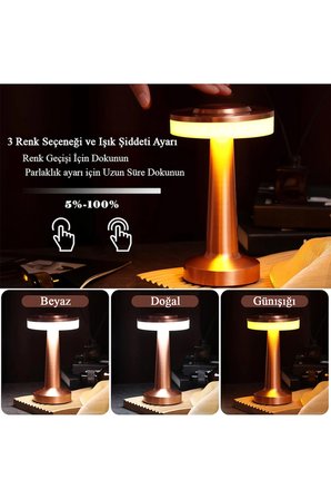 Rose Gold Dokunmatik Şarjlı Masa Lambası Dim Edilebilir Dekoratif Kablosuz Abajur