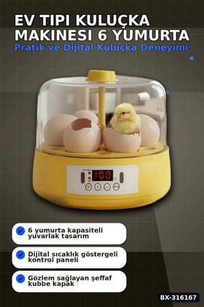 Genel Markalar Kuluçka Makinesi 6 Yumurta Kapasiteli Otomatik Döndürmeli Ev Tipi Mini BX-316167