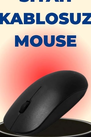 Kablosuz Mouse Sessiz Tıklamalı 1600 DPI 43 gr USB Alıcılı Ergonomik Fare BX-315971