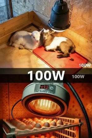 100W Kızılötesi (infrared) Isıtıcılı Hayvan Isıtma ve Kuluçka Lambası (Kırmızı Işık) E27 (Kalın Duy)