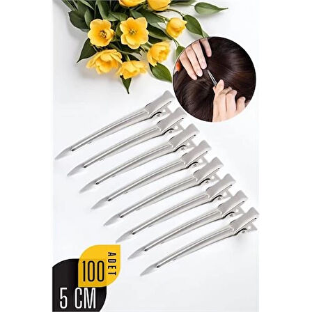 BX Saç Klipsi Metal Toka 100 Adet Absolute Design