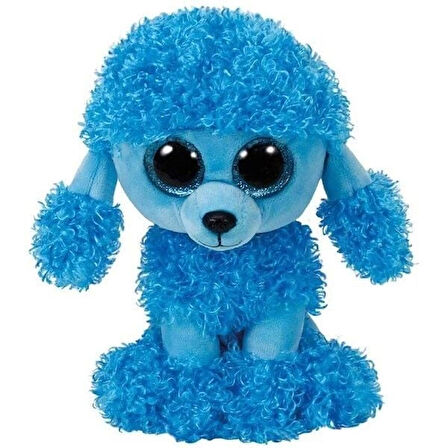 MANDY  BLUE POODLE REG