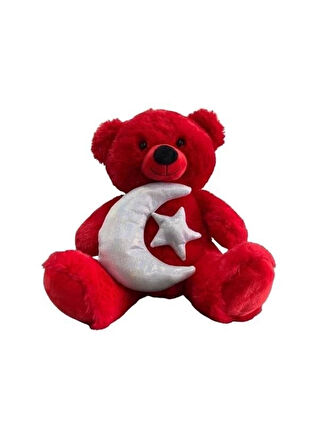 30 CM AY YILDIZ TEMALI AYICIK -HLY