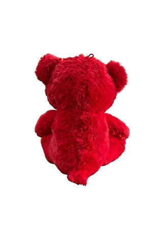 30 CM AY YILDIZ TEMALI AYICIK -HLY