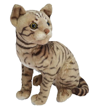 43 CM PELUŞ KEDİ HALLEY