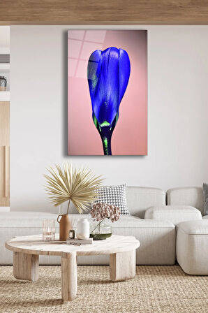 Dekoratif Duvar Tablosu Temperli Cam Tablo 110 x 70 cm