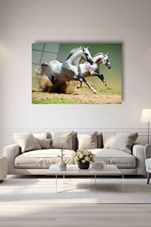 Dekoratif Duvar Tablosu Temperli Cam Tablo 72 x 46 cm