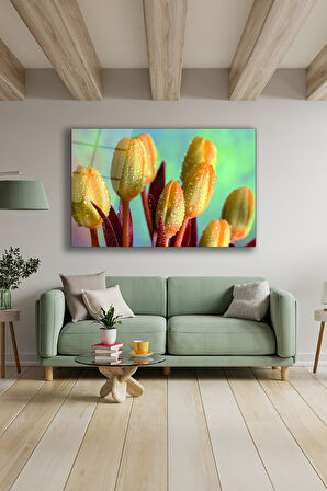 Dekoratif Duvar Tablosu Temperli Cam Tablo 72 x 46 cm