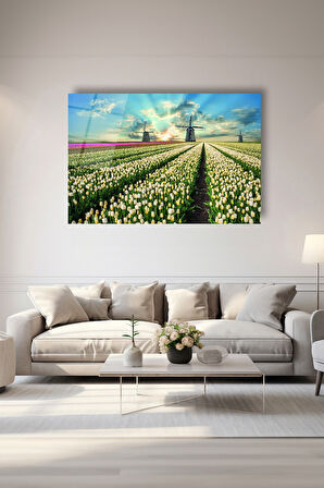 Dekoratif Duvar Tablosu Temperli Cam Tablo 72 x 46 cm