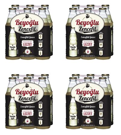 Beyoğlu Gazozu Zencefilli 250 Ml X 24 Adet