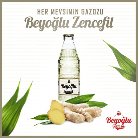 Beyoğlu Gazozu Zencefilli 250 Ml X 24 Adet