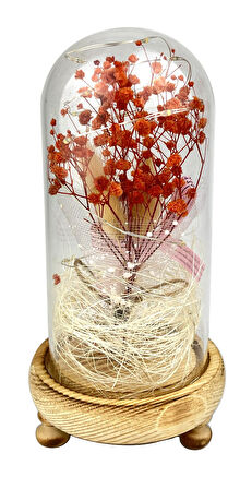 Işıklı Çiçekli Fanus Cam Model 2