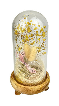 Işıklı Çiçekli Fanus Cam Model 1