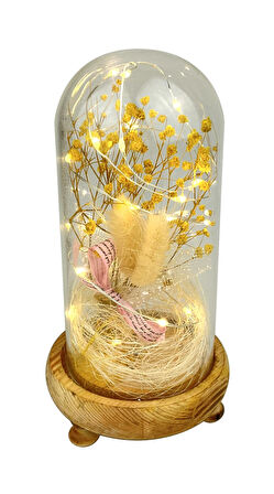 Işıklı Çiçekli Fanus Cam Model 1