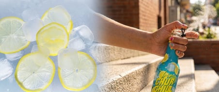 Bir Churchill Efsane Lezzet Limon Aromalı Doğal Mineralli Gazlı İçecek - Tuzlu - 24 Adet