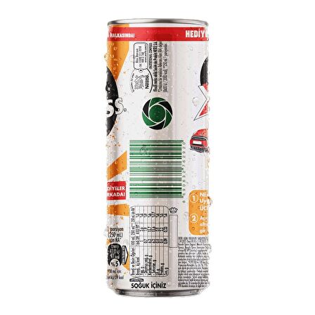 Nescafe Xpress Caramel Kahve Aromalı Sütlü İçecek 250 ml - 12 Adet 