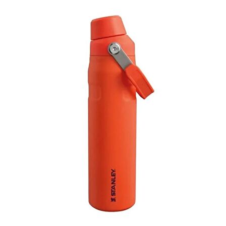 Stanley The Aerolight IceFlow Soğuk Su Termosu 0,60 Lt (20 OZ) - Tigerlily