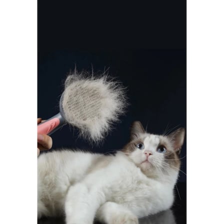 Otomatik Tuşlu Kendini Temizleyen Kedi Köpek Tarağı