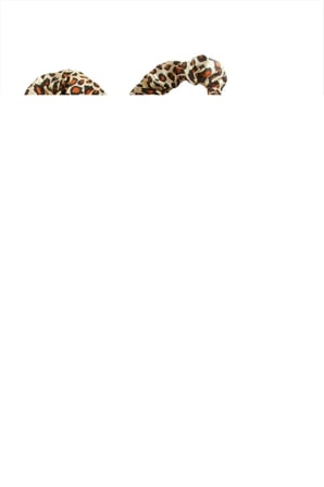 leopar Desenli Bugidi Saç Şekillendirici Sünger Set