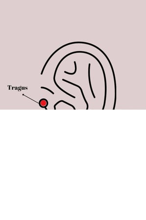 316L Çelik Gümüş Renk Zirkon Taşlı Çiçek Model Tragus Piercing