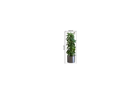 Saksılı Bitki Tasarımlı Yapışkanlı Sticker Resim 90*30 cm MC-665