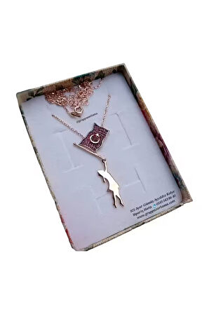 Modahilye 925 Ayar Gümüş Ayyıldız Rozegold Kolye