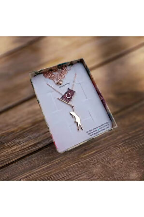 Modahilye 925 Ayar Gümüş Ayyıldız Rozegold Kolye