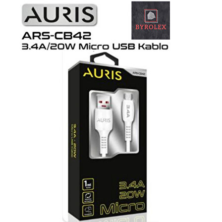 AURIS 3.4A / 20W USB / MİCRO ŞARJ VE DATA KABLOSU 