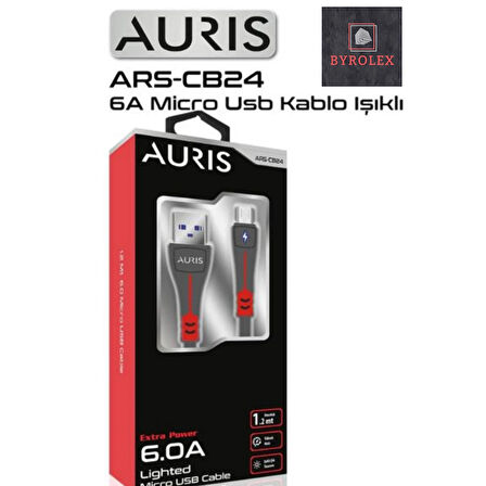 AURIS 6.0A  USB / MİKRO YÜKSEK HIZLI LED IŞIKLI ŞARJ VE DATA KABLOSU