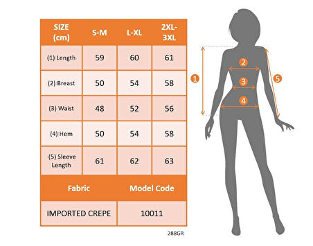 Kadın Uzun Kollu Balıkçı Yaka Arkadan Bağlamalı Omuzlardan Balon Ithal Krep Bluz
