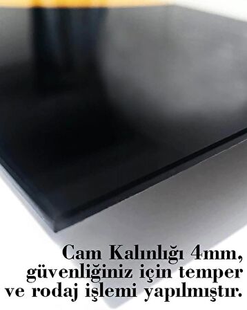  Kartal Hayvan Cam Tablo 4mm Dayanıklı Temperli Cam
