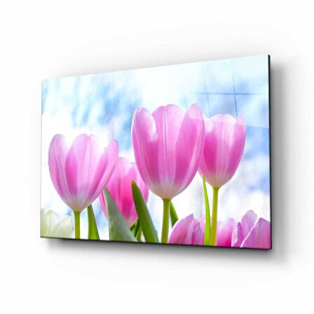 Doğa Manzara Cam Tablo 4mm Dayanıklı Temperli Cam