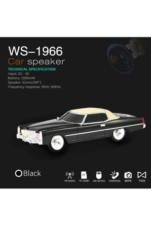 Wster WS-1969BT Oto Muzik Calar