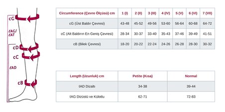 For Men Dizaltı Varis Çorabı - CCL2 - Burnu Kapalı - Lacivert - 5 Numara