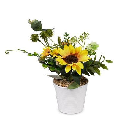 OGC-0048 AYCICEK KUCUK SAKSILI