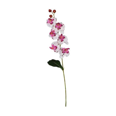 Ogc-0018     62 cm