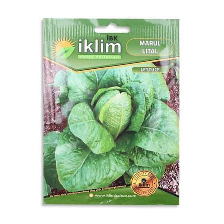 Tohum Marul Lıtal 5gr